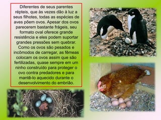 Diferentes de seus parentes
répteis, que às vezes dão à luz a
seus filhotes, todas as espécies de
aves põem ovos. Apesar dos ovos
parecerem bastante frágeis, seu
formato oval oferece grande
resistência e eles podem suportar
grandes pressões sem quebrar.
Como os ovos são pesados e
incômodos de carregar, as fêmeas
colocam os ovos assim que são
fertilizadas, quase sempre em um
ninho construído para proteger o
ovo contra predadores e para
mantê-lo aquecido durante o
desenvolvimento do embrião.

 