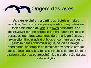 Origem das aves
As aves evoluíram a partir dos répteis e muitas
modificações ocorreram para que elas conquistassem
todo esse modo de vida. Os ovos passaram a se
desenvolver fora do corpo da fêmea, aparecimento de
penas, os membros anteriores deram origem à asas, a
excreção nitrogenada é o ácido úrico, num composto
pastoso para economizar água, perda da bexiga,
endotermia, separação da circulação venosa e arterial,
sacos aéreos que ajudam na diminuição da densidade e
dissipam calor, corpo aerodinâmico e elaboração da voz
e da audição.

 