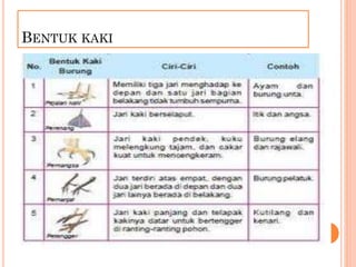 BENTUK KAKI
 