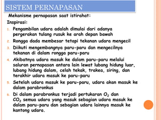 SISTEM PERNAPASAN
Mekanisme pernapasan saat istirahat:
Inspirasi:
1. Pengambilan udara adalah dimulai dari adanya
pergerakan tulang rusuk ke arah depan bawah
2. Rongga dada membesar tetapi tekanan udara mengecil
3. Diikuti mengembangnya paru-paru dan mengecilnya
tekanan di dalam rongga paru-paru
4. Akibatnya udara masuk ke dalam paru-paru melalui
saluran pernapasan antara lain lewat lubang hidung luar,
lubang hidung dalam, celah tekak, trakea, siring, dan
terakhir udara masuk ke paru-paru
5. Setelah udara masuk ke paru-paru, udara akan masuk ke
dalam parabronkus
6. Di dalam parabronkus terjadi pertukaran O2 dan
CO2 semua udara yang masuk sebagian udara masuk ke
dalam paru-paru dan sebagian udara lainnya masuk ke
kantong udara.
 