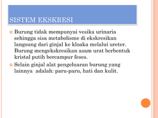 SISTEM EKSKRESI
 Burung tidak mempunyai vesika urinaria
sehingga sisa metabolisme di ekskresikan
langsung dari ginjal ke kloaka melalui ureter.
Burung mengekskresikan asam urat berbentuk
kristal putih bercampur feses.
 Selain ginjal alat pengeluaran burung yang
lainnya adalah: paru-paru, hati dan kulit.
 