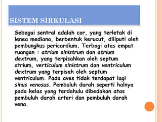 SISTEM SIRKULASI
Sebagai sentral adalah cor, yang terletak di
lenea mediana, berbentuk kerucut, diliputi oleh
pembungkus pericardium. Terbagi atas empat
ruangan : atrium sinistrum dan atrium
dextrum, yang terpisahkan oleh septum
atrium, verticulum sinistrum dan ventriculum
dextrum yang terpisah oleh septum
ventriculum. Pada aves tidak terdapat lagi
sinus venosus. Pembuluh darah seperti halnya
pada kelas yang terdahulu dibedakan atas
pembuluh darah arteri dan pembuluh darah
vena.
 