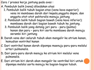Cara / proses kerja jantung pada aves :
A. Pembuluh balik (vena) dibedakan atas:
1. Pembuluh balik tubuh bagian atas (vena kava superior);
vena ini membawa darah dari kepala,anggota depan, dan
anggota otot-otot pektoralis menuju jantung
2. Pembuluh balik tubuh bagian bawah (vena kava inferior);
membawa darah dari bagian bawah tubuh ke jantung.
3. Pembuluh balik yang datang jari paru - paru (pulmo)
kanan dan paru – paru kiri serta membawa darah menuju
serambi kiri jantung
B. Darah vena dari seluruh tubuh akan mengalir ke atrium kanan,
kemudian ventrikel kanan
C. Dari ventrikel kanan darah dipompa maenuju paru-paru melalui
arteri pulmonalis.
D. Dari paru-paru darah menuju ke atrium kiri melalui vena
pulmonalis.
E. Dari atrium kiri darah akan mengalir ke ventrikel kiri untuk
dipompa melalui aorta menuju ke bagian-bagian tubuh.
 