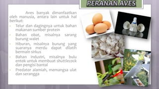 Aves banyak dimanfaatkan
oleh manusia, antara lain untuk hal
berikut:
• Telur dan dagingnya untuk bahan
makanan sumber protein
• Bahan obat, misalnya sarang
burung walet
• Hiburan, misalnya burung yang
suaranya merdu dapat dilatih
bermain sirkus
• Bahan industri, misalnya bulu
entok untuk membuat shuttlecock
dan pengisi bantal
• Predator alamiah, memangsa ulat
dan serangga
 