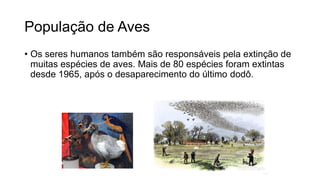 População de Aves
• Os seres humanos também são responsáveis pela extinção de
muitas espécies de aves. Mais de 80 espécies foram extintas
desde 1965, após o desaparecimento do último dodô.
 