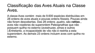 Classificação das Aves Atuais na Classe
Aves.
A classe Aves contém mais de 9.600 espécies distribuídas em
28 ordens de aves atuais e poucas ordens fósseis. Poucas ainda
não foram descobertas. Das 28 ordens ,quatro, são ratitas ,
aves não voadoras da superordem Paleognathae que não
possuem quilha no esterno (avestruzes ,emas e outros
).Entretanto, a incapacidade de vôo não é restrita a esta
superordem. As demais 23 ordens incluem aves com quilha no
esterno.
 