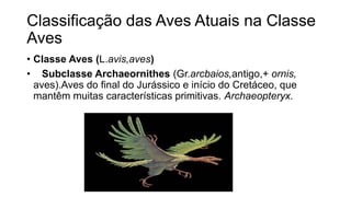 Classificação das Aves Atuais na Classe
Aves
• Classe Aves (L.avis,aves)
• Subclasse Archaeornithes (Gr.arcbaios,antigo,+ ornis,
aves).Aves do final do Jurássico e início do Cretáceo, que
mantêm muitas características primitivas. Archaeopteryx.
 