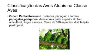 Classificação das Aves Atuais na Classe
Aves
• Ordem Psittaciformes (L.psittacus, papagaio + forma):
papagaios,periquitos. Aves com a parte superior do bico
articulável, língua carnosa. Cerca de 320 espécies, distribuição
pantropical.
 
