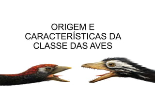 ORIGEM E
CARACTERÍSTICAS DA
CLASSE DAS AVES
 