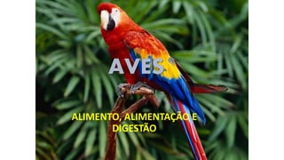 AVES
ALIMENTO, ALIMENTAÇÃO E
DIGESTÃO
 