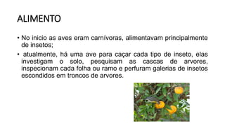 ALIMENTO
• No inicio as aves eram carnívoras, alimentavam principalmente
de insetos;
• atualmente, há uma ave para caçar cada tipo de inseto, elas
investigam o solo, pesquisam as cascas de arvores,
inspecionam cada folha ou ramo e perfuram galerias de insetos
escondidos em troncos de arvores.
 