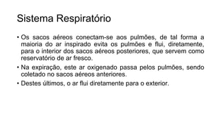 Sistema Respiratório
• Os sacos aéreos conectam-se aos pulmões, de tal forma a
maioria do ar inspirado evita os pulmões e flui, diretamente,
para o interior dos sacos aéreos posteriores, que servem como
reservatório de ar fresco.
• Na expiração, este ar oxigenado passa pelos pulmões, sendo
coletado no sacos aéreos anteriores.
• Destes últimos, o ar flui diretamente para o exterior.
 