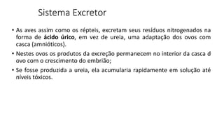 Sistema Excretor
• As aves assim como os répteis, excretam seus resíduos nitrogenados na
forma de ácido úrico, em vez de ureia, uma adaptação dos ovos com
casca (amnióticos).
• Nestes ovos os produtos da excreção permanecem no interior da casca d
ovo com o crescimento do embrião;
• Se fosse produzida a ureia, ela acumularia rapidamente em solução até
níveis tóxicos.
 