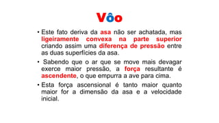 Vôo
• Este fato deriva da asa não ser achatada, mas
ligeiramente convexa na parte superior
criando assim uma diferença de pressão entre
as duas superfícies da asa.
• Sabendo que o ar que se move mais devagar
exerce maior pressão, a força resultante é
ascendente, o que empurra a ave para cima.
• Esta força ascensional é tanto maior quanto
maior for a dimensão da asa e a velocidade
inicial.
 