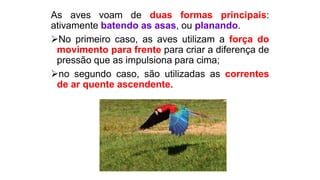 As aves voam de duas formas principais:
ativamente batendo as asas, ou planando.
No primeiro caso, as aves utilizam a força do
movimento para frente para criar a diferença de
pressão que as impulsiona para cima;
no segundo caso, são utilizadas as correntes
de ar quente ascendente.
 