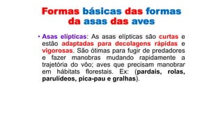 Formas básicas das formas
da asas das aves
• Asas elípticas: As asas elípticas são curtas e
estão adaptadas para decolagens rápidas e
vigorosas. São ótimas para fugir de predadores
e fazer manobras mudando rapidamente a
trajetória do vôo; aves que precisam manobrar
em hábitats florestais. Ex: (pardais, rolas,
parulídeos, pica-pau e gralhas).
 