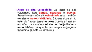 • Asas de alta velocidade: As asas de alta
velocidade são curtas, estreitas e curvas.
Proporcionam não só velocidade mas também
excelente manobrabilidade. São asas que estão
batendo frequentemente. Aves que se alimentam
em vôo , tais como andorinhas, beija-flores e
andorinhões ou que fazem longas migrações,
tais como gaivotas e trinta-réis.
 