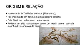 ORIGEM E RELAÇÃO
• Há cerca de 147 milhões de anos (Alemanha);
• Foi encontrado em 1861, em uma pedreira calcária;
• Este fóssil era do tamanho de um corvo;
• Poderia ter sido classificado como um réptil porém possuía
inconfundíveis marcas de penas.
 