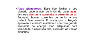 • Asas planadoras: Esse tipo facilita o vôo
planado onde a ave, ao invés de bater asas,
deixa-as abertas e aproveita a corrente de ar.
Enquanto houver correntes de vento, a ave
poderá ficar voando. É assim que a fragata
aproveita a corrente marítima e voa com grande
economia de energia. São adaptadas para
velocidade e ascensão alta, exploram os ventos
marinhos.
 