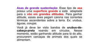 Asas de grande sustentação: Esse tipo de asa
possui uma superfície grande e está adaptada
para o vôo em grandes altitudes. Para ganhar
altitude, essas aves pegam carona nas correntes
térmicas ascendentes sobre a terra. Ex: urubus,
águias, corujas.
Você já deve ter visto bandos de urubus-de-
cabeça-preta voando em círculos. Nesse
momento, estão ganhando altitude para lá do alto,
procurarem carcaças de animais dos quais se
alimentam.
 