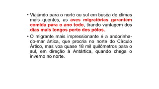 • Viajando para o norte ou sul em busca de climas
mais quentes, as aves migratórias garantem
comida para o ano todo, tirando vantagem dos
dias mais longos perto dos pólos.
• O migrante mais impressionante é a andorinha-
do-mar ártica, que procria no norte do Círculo
Ártico, mas voa quase 18 mil quilômetros para o
sul, em direção à Antártica, quando chega o
inverno no norte.
 