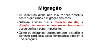 Migração
• Os cientistas ainda não têm certeza absoluta
sobre o que causa a migração das aves.
• Sabe-se apenas que a duração do dia, a
direção do vento e mudanças hormonais
desempenham papel importante.
• Como os migrantes encontram com exatidão o
caminho para suas casas temporárias também é
uma incógnita.
 