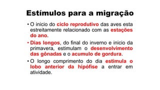 Estímulos para a migração
• O inicio do ciclo reprodutivo das aves esta
estreitamente relacionado com as estações
do ano.
• Dias longos, do final do inverno e inicio da
primavera, estimulam o desenvolvimento
das gônadas e o acumulo de gordura.
• O longo comprimento do dia estimula o
lobo anterior da hipófise a entrar em
atividade.
 