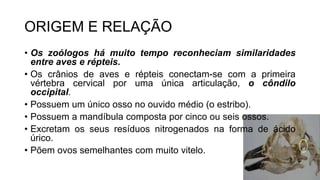 ORIGEM E RELAÇÃO
• Os zoólogos há muito tempo reconheciam similaridades
entre aves e répteis.
• Os crânios de aves e répteis conectam-se com a primeira
vértebra cervical por uma única articulação, o côndilo
occipital.
• Possuem um único osso no ouvido médio (o estribo).
• Possuem a mandíbula composta por cinco ou seis ossos.
• Excretam os seus resíduos nitrogenados na forma de ácido
úrico.
• Põem ovos semelhantes com muito vitelo.
 