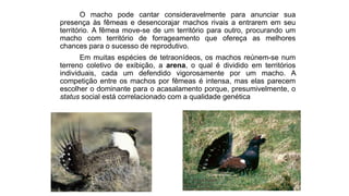 O macho pode cantar consideravelmente para anunciar sua
presença às fêmeas e desencorajar machos rivais a entrarem em seu
território. A fêmea move-se de um território para outro, procurando um
macho com território de forrageamento que ofereça as melhores
chances para o sucesso de reprodutivo.
Em muitas espécies de tetraonídeos, os machos reúnem-se num
terreno coletivo de exibição, a arena, o qual é dividido em territórios
individuais, cada um defendido vigorosamente por um macho. A
competição entre os machos por fêmeas é intensa, mas elas parecem
escolher o dominante para o acasalamento porque, presumivelmente, o
status social está correlacionado com a qualidade genética
 