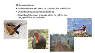 Outras constroem:
• Ninhos de barro em forma de chaminé das andorinhas;
• Os ninhos flutuantes dos mergulhões;
• Os ninhos feitos com imensas pilhas de galhos dos
megapodídeos australianos.
 