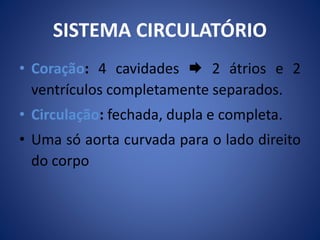 SISTEMA CIRCULATÓRIO 
• Coração: 4 cavidades  2 átrios e 2 
ventrículos completamente separados. 
• Circulação: fechada, dupla e completa. 
• Uma só aorta curvada para o lado direito 
do corpo 
 