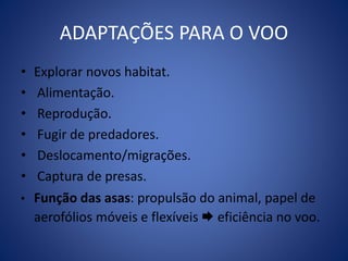 ADAPTAÇÕES PARA O VOO 
• Explorar novos habitat. 
• Alimentação. 
• Reprodução. 
• Fugir de predadores. 
• Deslocamento/migrações. 
• Captura de presas. 
• Função das asas: propulsão do animal, papel de 
aerofólios móveis e flexíveis  eficiência no voo. 
 