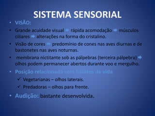 SISTEMA SENSORIAL 
• VISÃO: 
• Grande acuidade visual  rápida acomodação  músculos 
ciliares  alterações na forma do cristalino. 
• Visão de cores  predomínio de cones nas aves diurnas e de 
bastonetes nas aves noturnas. 
• membrana nictitante sob as pálpebras (terceira pálpebra)  
olhos podem permanecer abertos durante voo e mergulho. 
• Posição relacionada com hábitos de vida 
 Vegetarianas – olhos laterais. 
 Predadoras – olhos para frente. 
• Audição: bastante desenvolvida. 
 