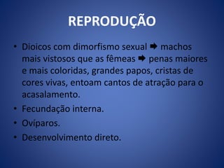 REPRODUÇÃO 
• Dioicos com dimorfismo sexual  machos 
mais vistosos que as fêmeas  penas maiores 
e mais coloridas, grandes papos, cristas de 
cores vivas, entoam cantos de atração para o 
acasalamento. 
• Fecundação interna. 
• Ovíparos. 
• Desenvolvimento direto. 
 