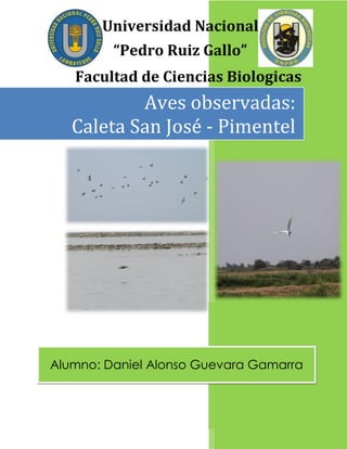Aves observadas: Caleta San José - Pimentel 
Alumno: Daniel Alonso Guevara Gamarra 
Universidad Nacional 
“Pedro Ruiz Gallo” 
Facultad de Ciencias Biologicas  