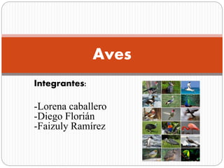 Integrantes:
-Lorena caballero
-Diego Florián
-Faizuly Ramírez
Aves
 