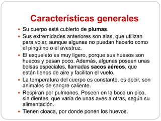 Características generales
 Su cuerpo está cubierto de plumas.
 Sus extremidades anteriores son alas, que utilizan
para volar, aunque algunas no puedan hacerlo como
el pingüino o el avestruz.
 El esqueleto es muy ligero, porque sus huesos son
huecos y pesan poco. Además, algunas poseen unas
bolsas especiales, llamadas sacos aéreos, que
están llenos de aire y facilitan el vuelo.
 La temperatura del cuerpo es constante, es decir, son
animales de sangre caliente.
 Respiran por pulmones. Poseen en la boca un pico,
sin dientes, que varía de unas aves a otras, según su
alimentación.
 Tienen cloaca, por donde ponen los huevos.
 