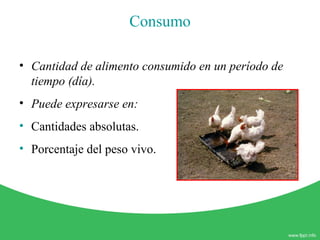 Consumo
• Cantidad de alimento consumido en un período de
tiempo (día).
• Puede expresarse en:
• Cantidades absolutas.
• Porcentaje del peso vivo.
 