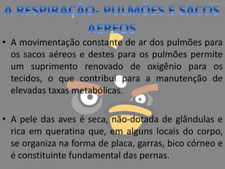 • A movimentação constante de ar dos pulmões para
os sacos aéreos e destes para os pulmões permite
um suprimento renovado de oxigênio para os
tecidos, o que contribui para a manutenção de
elevadas taxas metabólicas.
• A pele das aves é seca, não-dotada de glândulas e
rica em queratina que, em alguns locais do corpo,
se organiza na forma de placa, garras, bico córneo e
é constituinte fundamental das pernas.
 