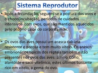 • Após a fecundação, seguem-se a postura dos ovos e
o choco(incubação), períodos de cuidados
intensivos com ovos, que são mantidos aquecidos
pelo próprio calor do corpo da mãe.
• Os ovos das aves possui um acasca calcária
resistente e porosa e tem muito vitelo. Os anexos
embrionários típicos dos répteis também estão
presentes nos ovos das aves: âmnio, Cório,
alantóide e saco vitelínico, estes últimos bastante
rico em vitelo, a gema do ovo.
 