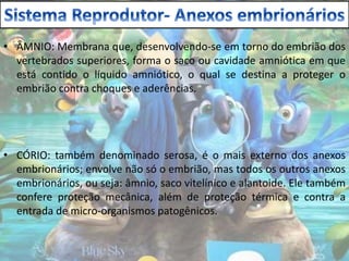 • ÂMNIO: Membrana que, desenvolvendo-se em torno do embrião dos
vertebrados superiores, forma o saco ou cavidade amniótica em que
está contido o líquido amniótico, o qual se destina a proteger o
embrião contra choques e aderências.
• CÓRIO: também denominado serosa, é o mais externo dos anexos
embrionários; envolve não só o embrião, mas todos os outros anexos
embrionários, ou seja: âmnio, saco vitelínico e alantoide. Ele também
confere proteção mecânica, além de proteção térmica e contra a
entrada de micro-organismos patogênicos.
 