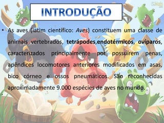 • As aves (latim científico: Aves) constituem uma classe de
animais vertebrados, tetrápodes,endotérmicos, ovíparos,
caracterizados principalmente por possuírem penas,
apêndices locomotores anteriores modificados em asas,
bico córneo e ossos pneumáticos. São reconhecidas
aproximadamente 9.000 espécies de aves no mundo.
•
 