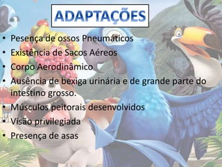 • Pesença de ossos Pneumáticos
• Existência de Sacos Aéreos
• Corpo Aerodinâmico
• Ausência de bexiga urinária e de grande parte do
intestino grosso.
• Músculos peitorais desenvolvidos
• Visão privilegiada
• Presença de asas
 
