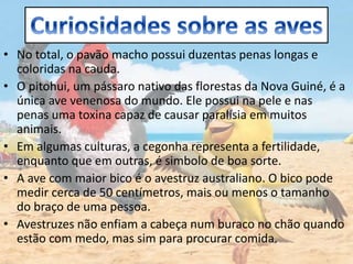 • No total, o pavão macho possui duzentas penas longas e
coloridas na cauda.
• O pitohui, um pássaro nativo das florestas da Nova Guiné, é a
única ave venenosa do mundo. Ele possui na pele e nas
penas uma toxina capaz de causar paralisia em muitos
animais.
• Em algumas culturas, a cegonha representa a fertilidade,
enquanto que em outras, é simbolo de boa sorte.
• A ave com maior bico é o avestruz australiano. O bico pode
medir cerca de 50 centímetros, mais ou menos o tamanho
do braço de uma pessoa.
• Avestruzes não enfiam a cabeça num buraco no chão quando
estão com medo, mas sim para procurar comida.
 