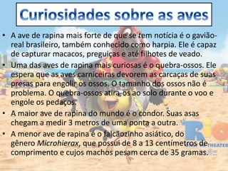 • A ave de rapina mais forte de que se tem notícia é o gavião-
real brasileiro, também conhecido como harpia. Ele é capaz
de capturar macacos, preguiças e até filhotes de veado.
• Uma das aves de rapina mais curiosas é o quebra-ossos. Ele
espera que as aves carniceiras devorem as carcaças de suas
presas para engolir os ossos. O tamanho dos ossos não é
problema. O quebra-ossos atira-os ao solo durante o voo e
engole os pedaços.
• A maior ave de rapina do mundo é o condor. Suas asas
chegam a medir 3 metros de uma ponta a outra.
• A menor ave de rapina é o falcãozinho asiático, do
gênero Microhierax, que possui de 8 a 13 centímetros de
comprimento e cujos machos pesam cerca de 35 gramas.
 