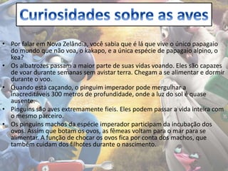 • Por falar em Nova Zelândia, você sabia que é lá que vive o único papagaio
do mundo que não voa, o kakapo, e a única espécie de papagaio alpino, o
kea?
• Os albatrozes passam a maior parte de suas vidas voando. Eles são capazes
de voar durante semanas sem avistar terra. Chegam a se alimentar e dormir
durante o voo.
• Quando está caçando, o pinguim imperador pode mergulhar a
inacreditáveis 300 metros de profundidade, onde a luz do sol é quase
ausente.
• Pinguins são aves extremamente fieis. Eles podem passar a vida inteira com
o mesmo parceiro.
• Os pinguins machos da espécie imperador participam da incubação dos
ovos. Assim que botam os ovos, as fêmeas voltam para o mar para se
alimentar. A função de chocar os ovos fica por conta dos machos, que
também cuidam dos filhotes durante o nascimento.
 