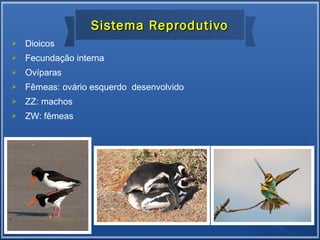  Dioicos
 Fecundação interna
 Ovíparas
 Fêmeas: ovário esquerdo desenvolvido
 ZZ: machos
 ZW: fêmeas
Sistema ReprodutivoSistema Reprodutivo
 