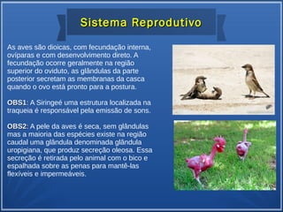 Sistema ReprodutivoSistema Reprodutivo
As aves são dioicas, com fecundação interna,
ovíparas e com desenvolvimento direto. A
fecundação ocorre geralmente na região
superior do oviduto, as glândulas da parte
posterior secretam as membranas da casca
quando o ovo está pronto para a postura.
OBS1OBS1: A Siringeé uma estrutura localizada na
traqueia é responsável pela emissão de sons.
OBS2OBS2: A pele da aves é seca, sem glândulas
mas a maioria das espécies existe na região
caudal uma glândula denominada glândula
uropigiana, que produz secreção oleosa. Essa
secreção é retirada pelo animal com o bico e
espalhada sobre as penas para mantê-las
flexíveis e impermeáveis.
 