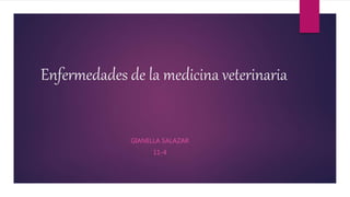 Enfermedades de la medicina veterinaria
GIANELLA SALAZAR
11-4
 