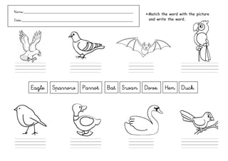Name:___________________________________________________________
                                                                    ✴Match the word with the picture
Date:____________________________________________________________    and write the word.




Duck.                         ..........                      ........               ............



         Eagle      Sparrow          Parrot       Bat Swan          Dove     Hen Duck




Duck.                         ..........                      ........               ............
 